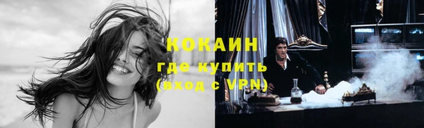 индика Каменка