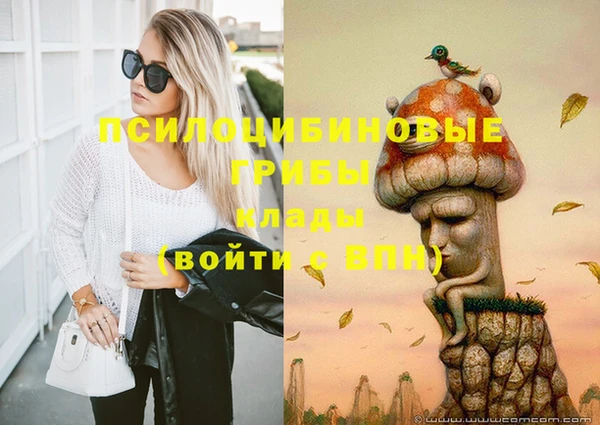 не бодяженный Алексин