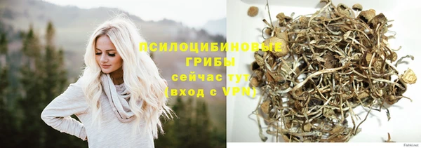 прущие крисы Алзамай