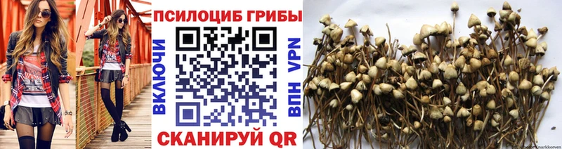 MEGA сайт Севастополь Псилоцибиновые грибы мицелий мориарти как зайти закладки
