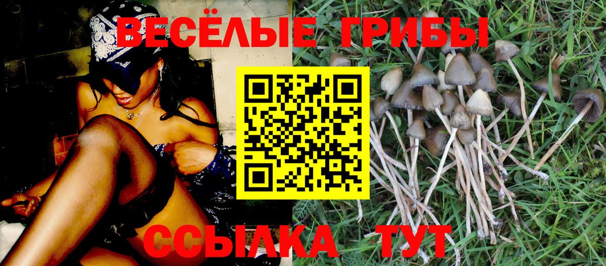Севастополь  Псилоцибиновые грибы мухоморы  Галлюциногенные грибы MAGIC MUSHROOMS  Вход с VPN 