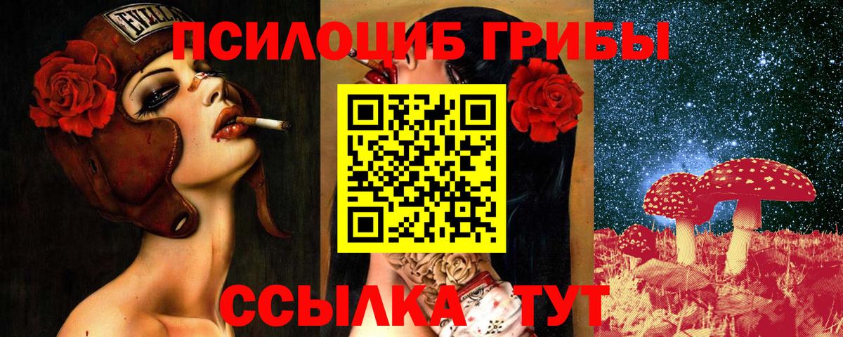 Галлюциногенные грибы Psilocybe Севастополь